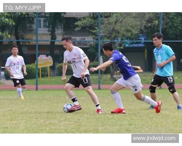 聚焦日本全国足球大赛球星风采与赛场背后精彩故事 聚焦日本全国足球大赛球星风采与赛场背后精彩故事